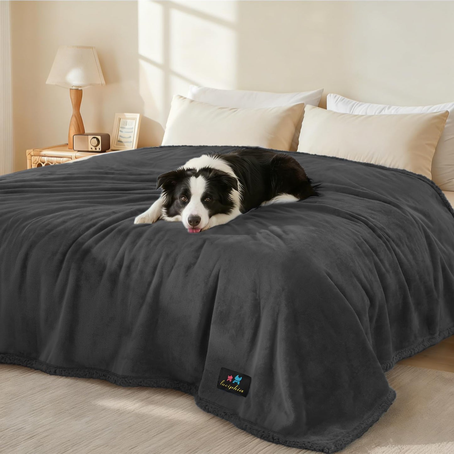 Reversible Waterproof Pet Blanket for Furniture