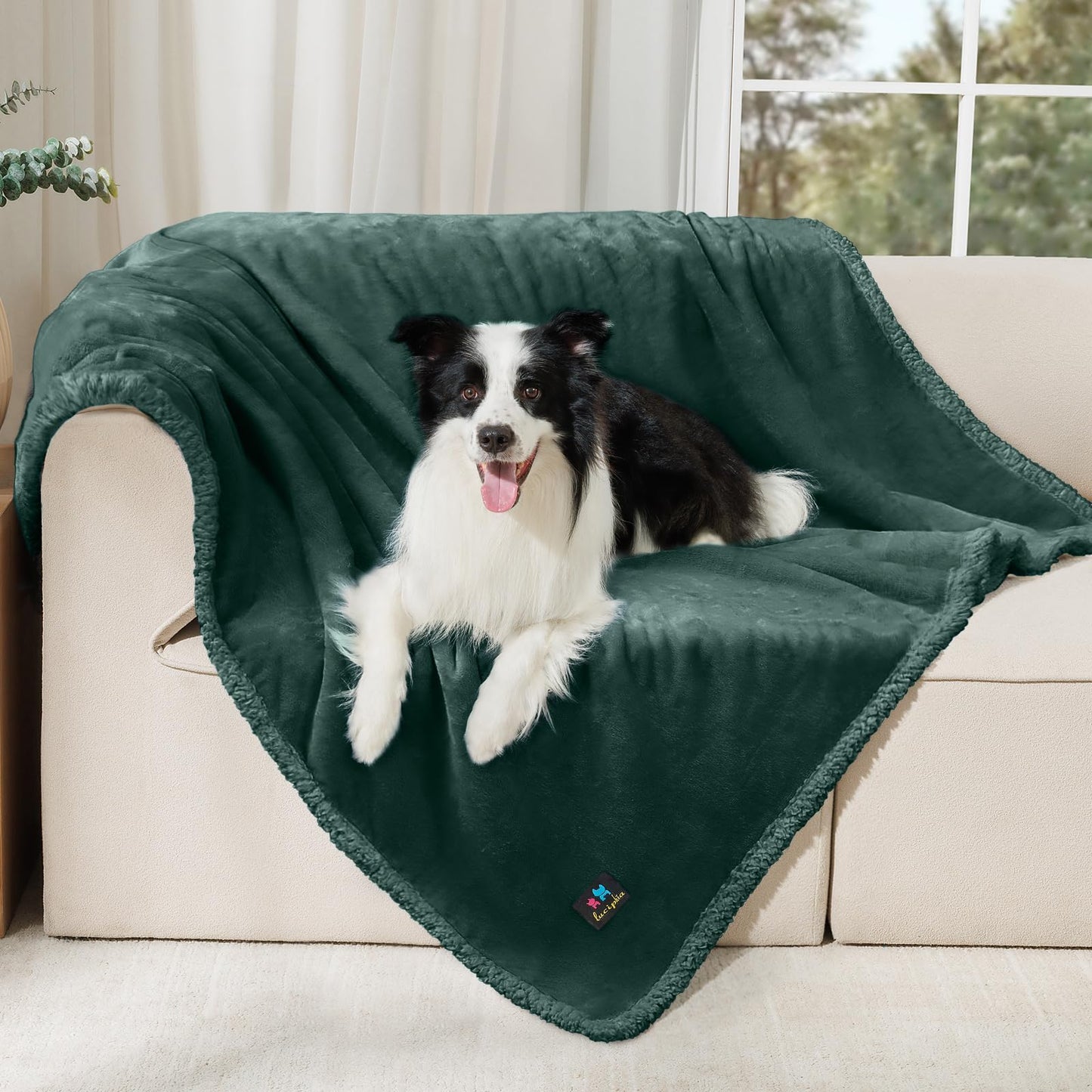Reversible Waterproof Pet Blanket for Furniture