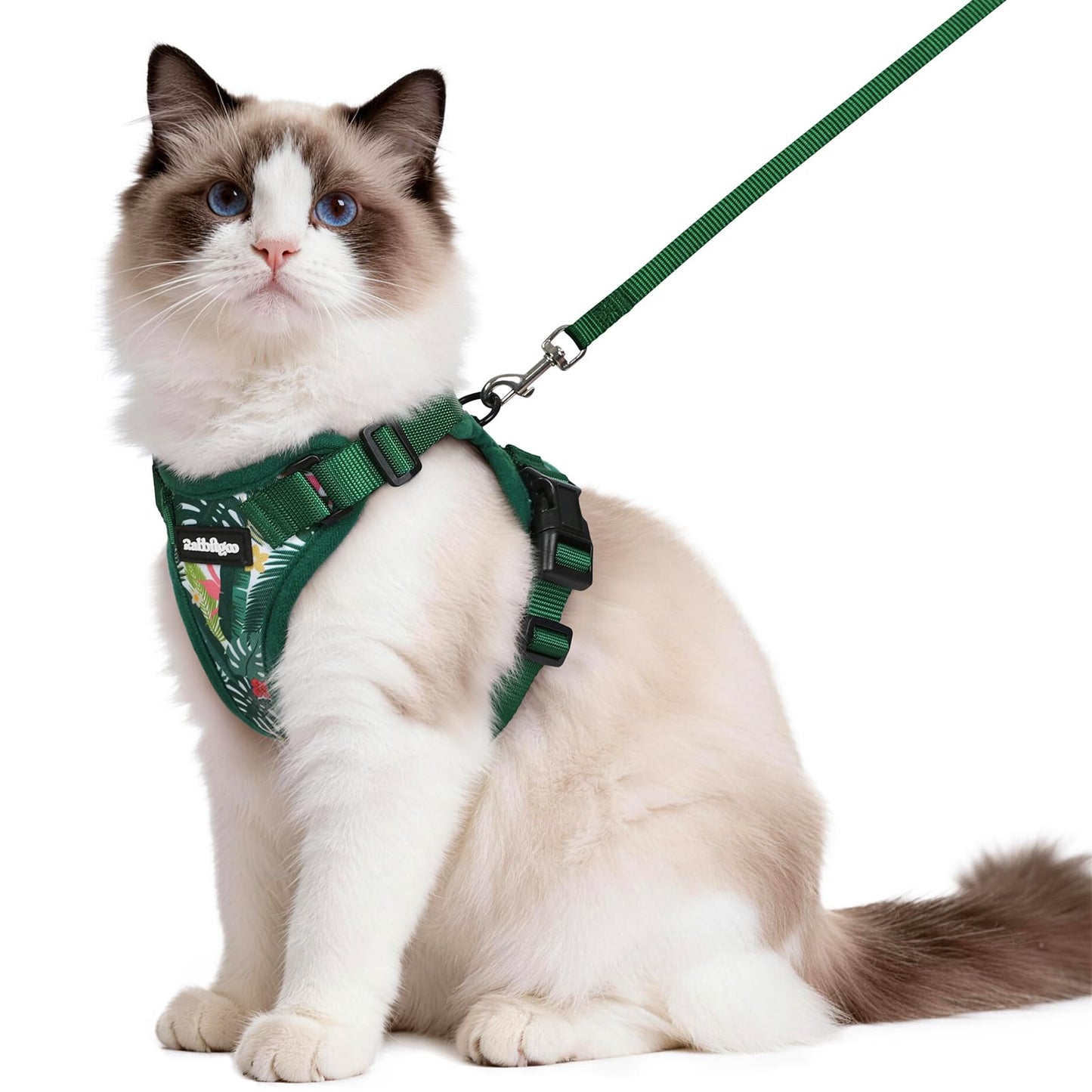 Adjustable Cat Harness & Lead Set for Walking