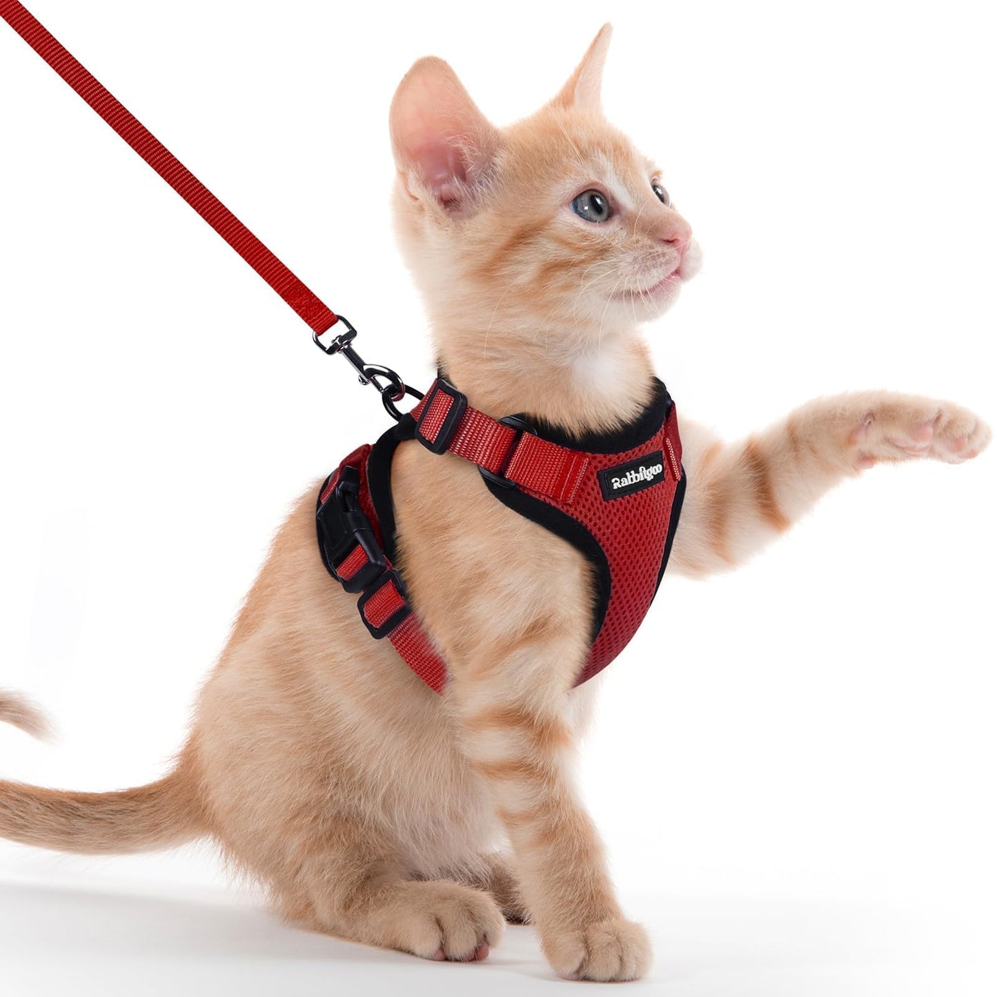 Adjustable Cat Harness & Lead Set for Walking