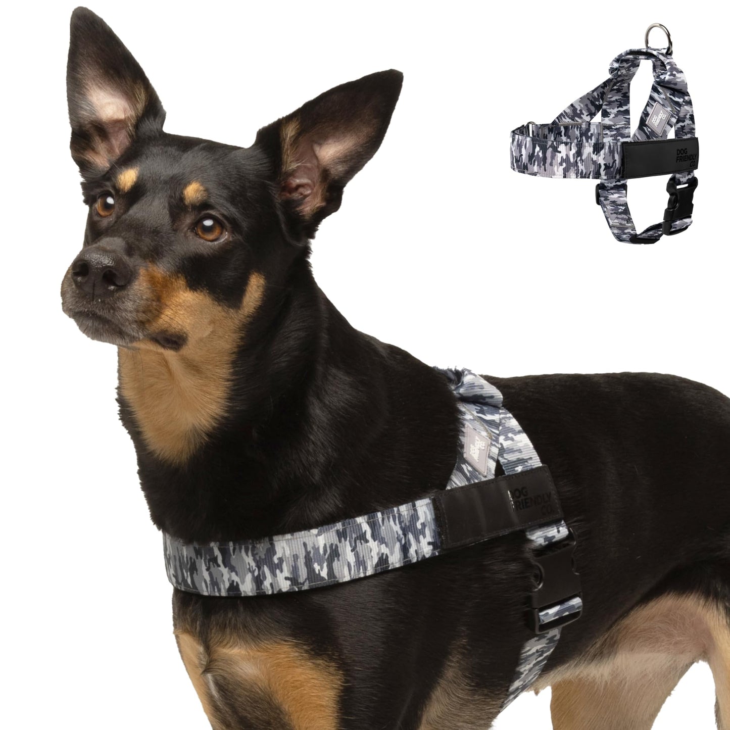 Adjustable Everyday Dog Harness for Walking