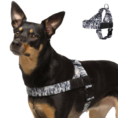 Adjustable Everyday Dog Harness for Walking