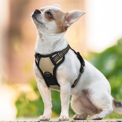 No-Pull Reflective Dog Harness with Control Handle