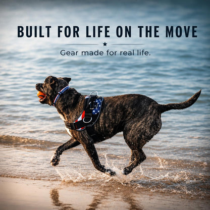 Reflective No-Pull Adjustable Dog Harness Vest