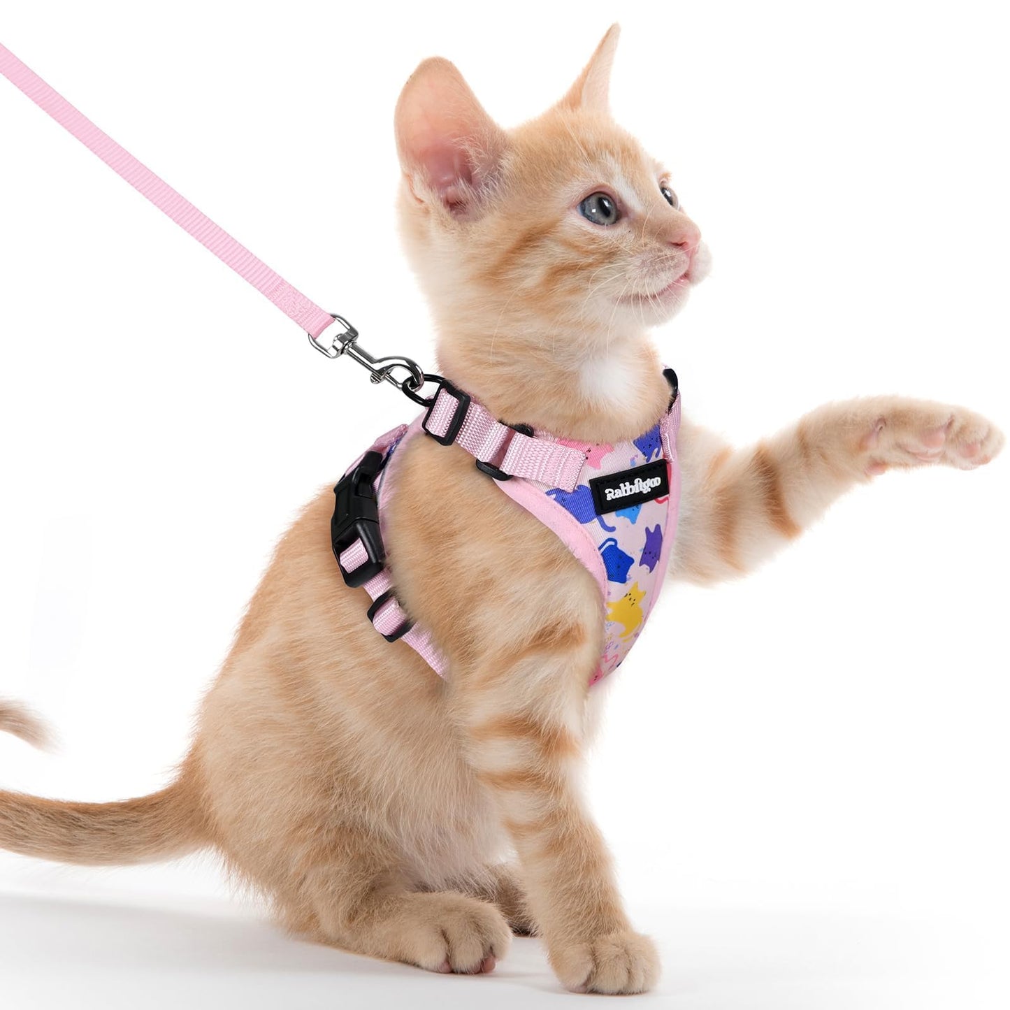 Adjustable Cat Harness & Lead Set for Walking