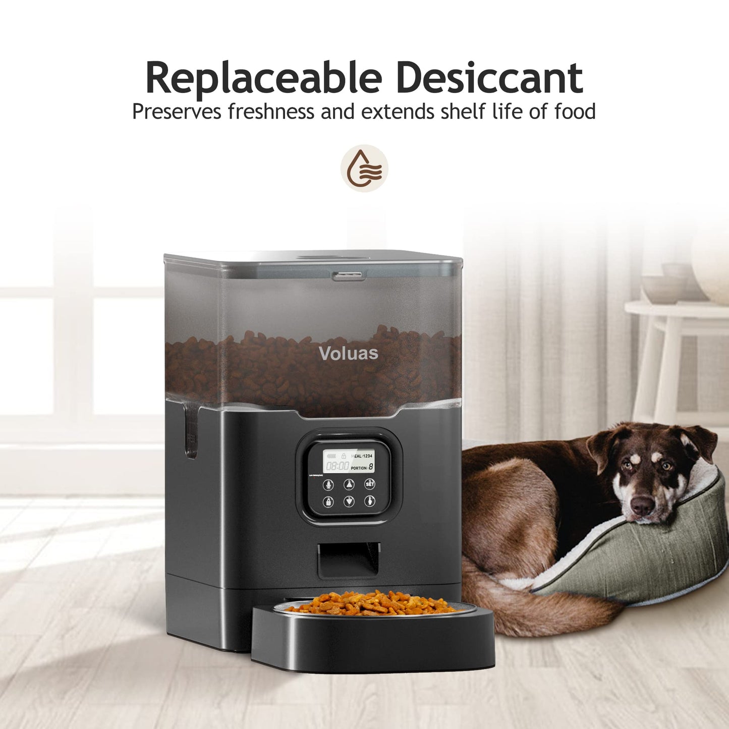Automatic Pet Feeder with Timer and Freshness Seal
