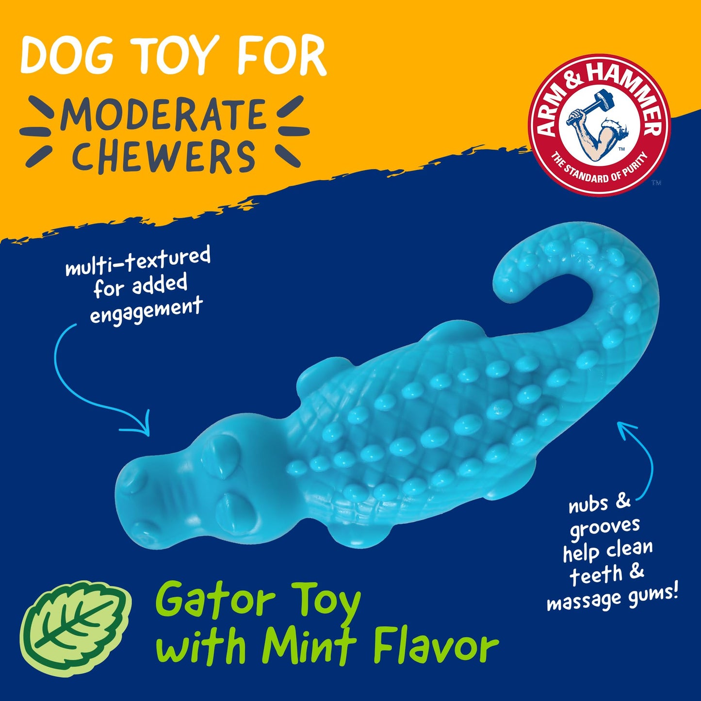 Arm & Hammer FFP8433 Nubbies Dental Toys, Blue