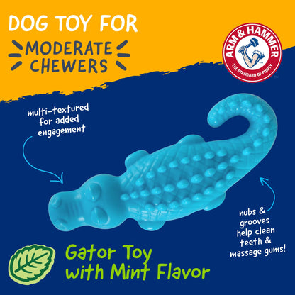Arm & Hammer FFP8433 Nubbies Dental Toys, Blue