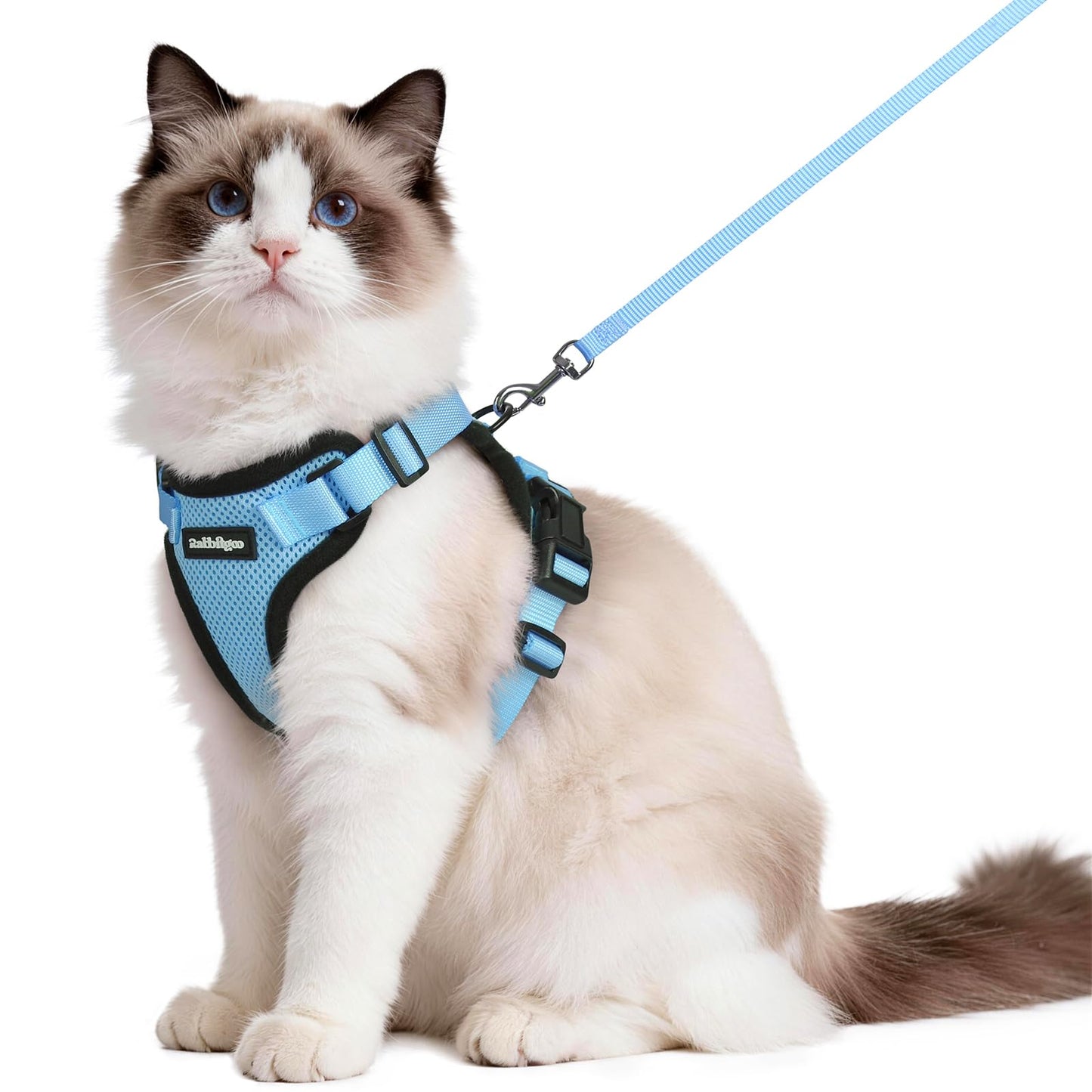 Adjustable Cat Harness & Lead Set for Walking