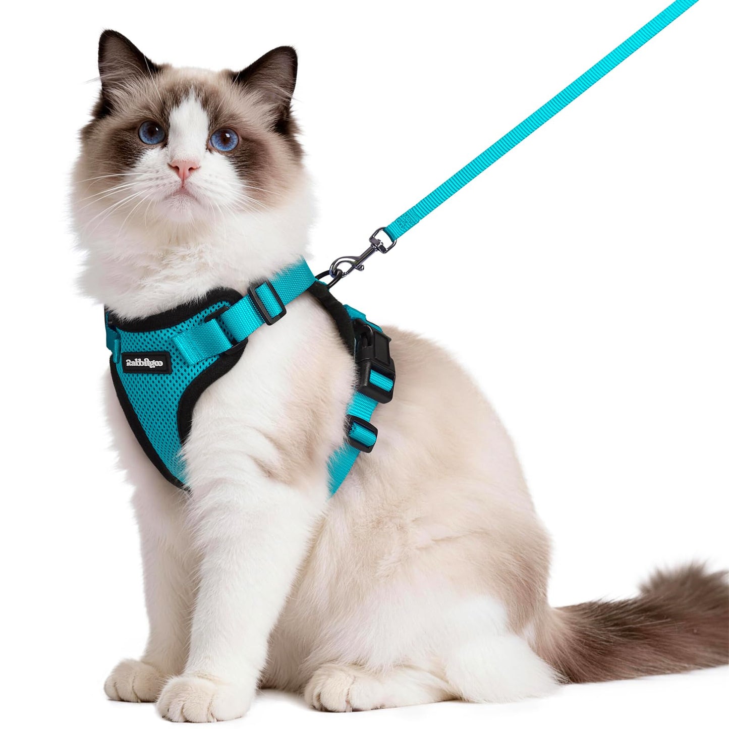 Adjustable Cat Harness & Lead Set for Walking