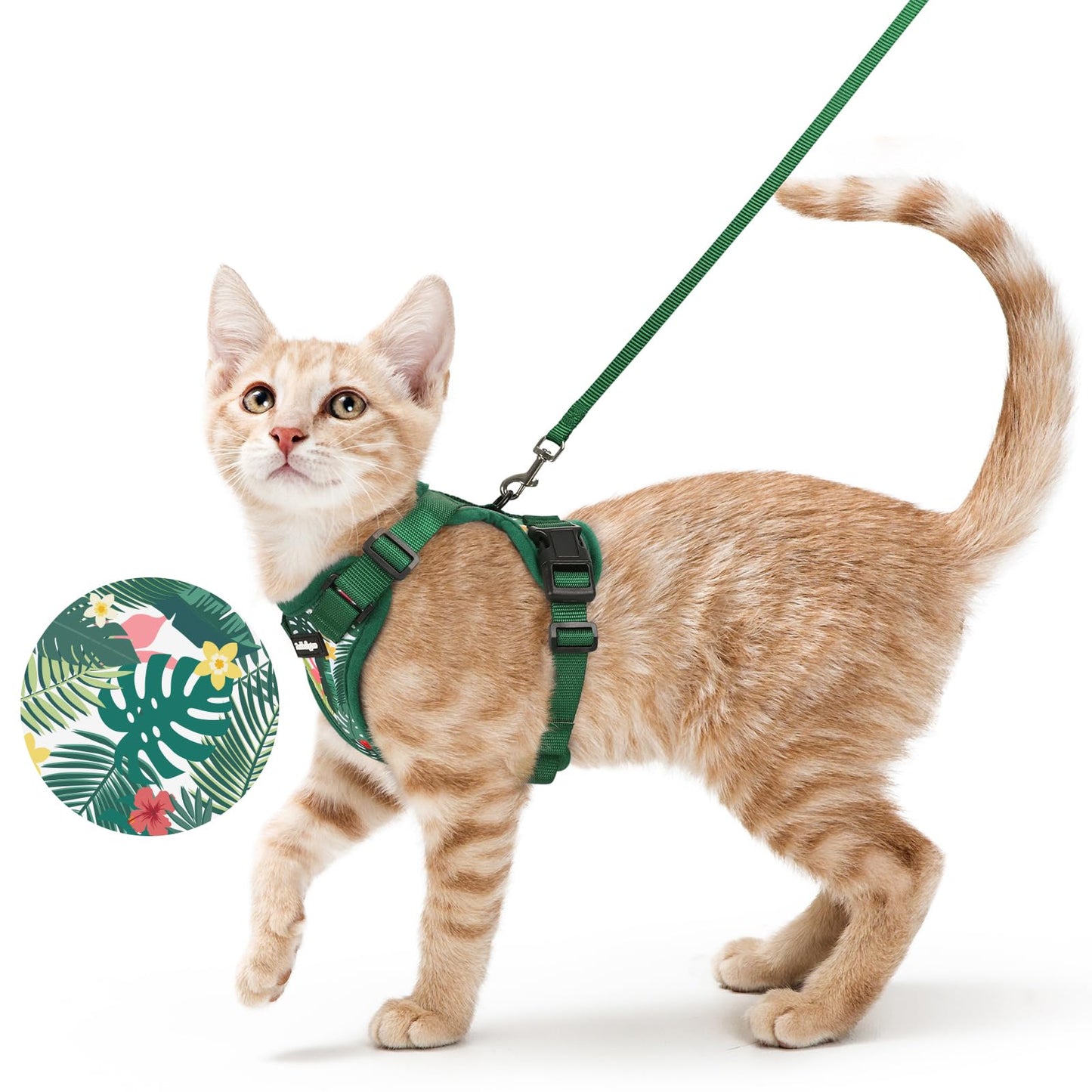 Adjustable Cat Harness & Lead Set for Walking