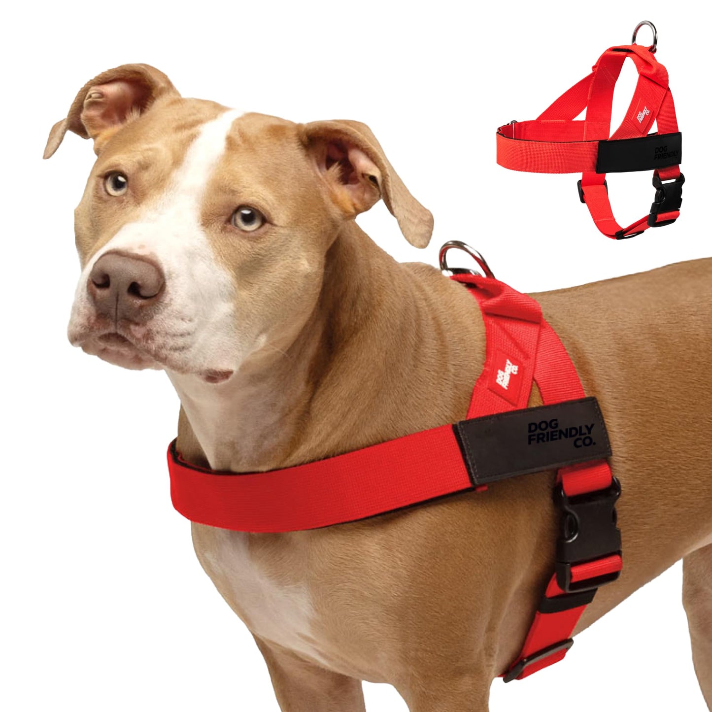 Adjustable Everyday Dog Harness for Walking