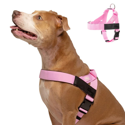 Adjustable Everyday Dog Harness for Walking