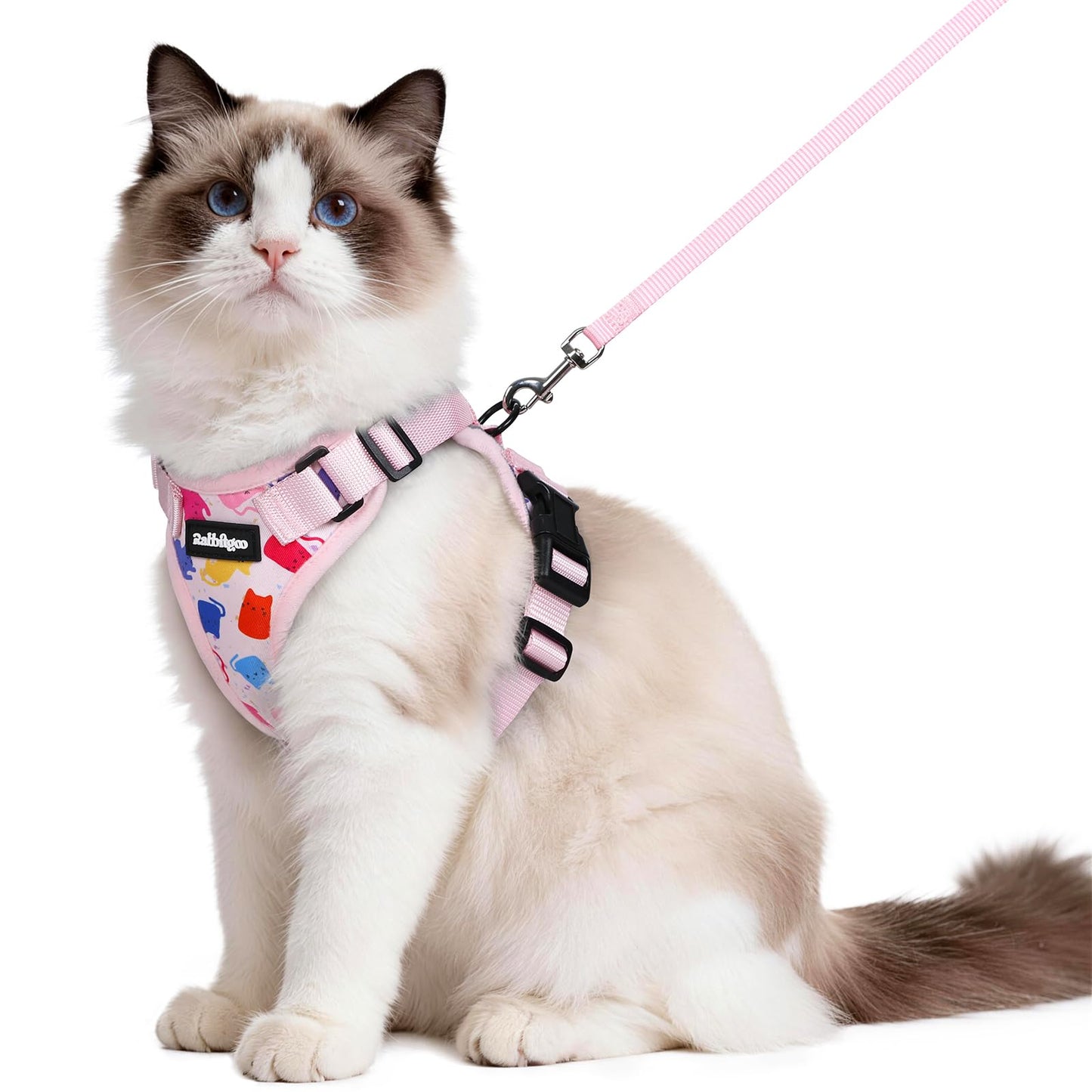 Adjustable Cat Harness & Lead Set for Walking