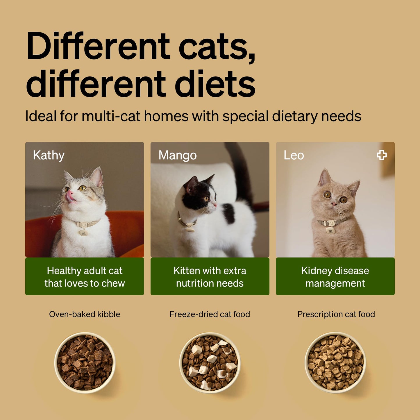 RFID Automatic Cat Feeder with Collar Tag Access