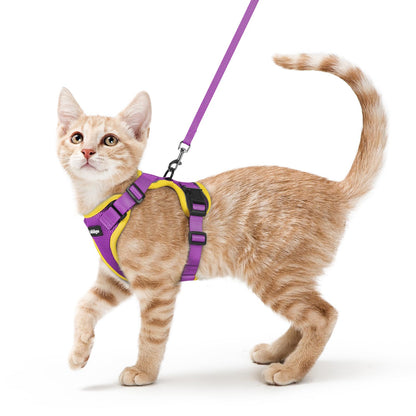 Adjustable Cat Harness & Lead Set for Walking