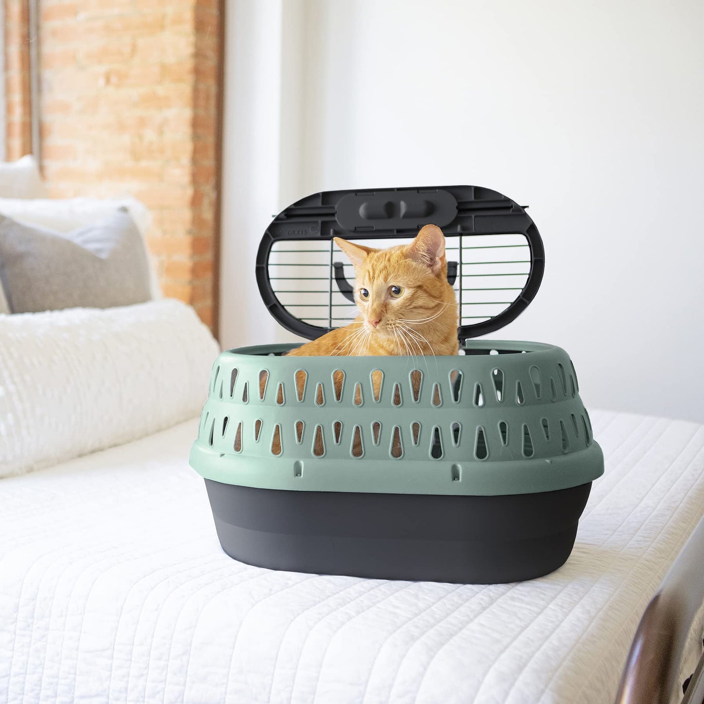 Two-Door Top Load Pet Kennel for Small Pets