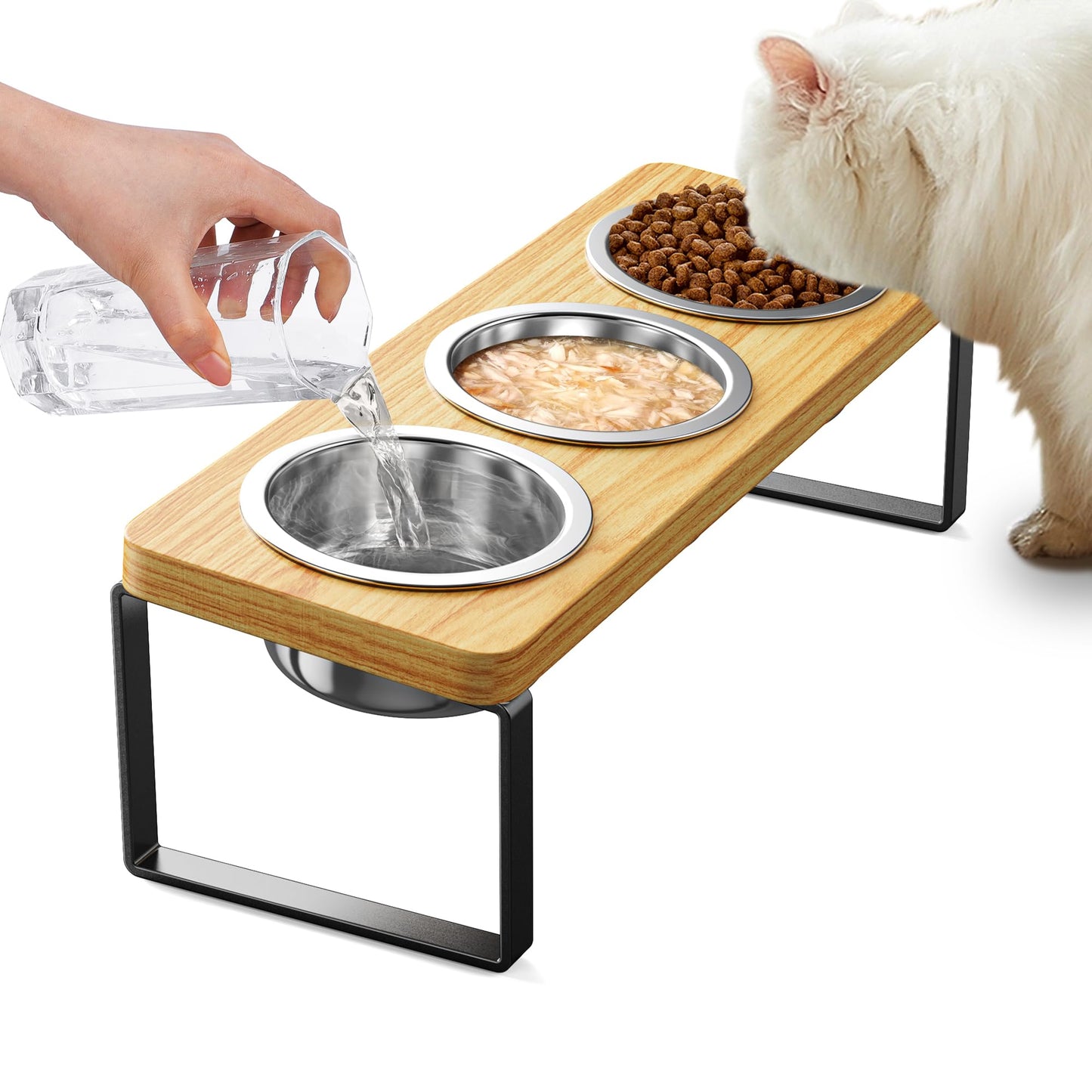 Elevated Cat Bowls 10°Tilted Raised Cat Bowls