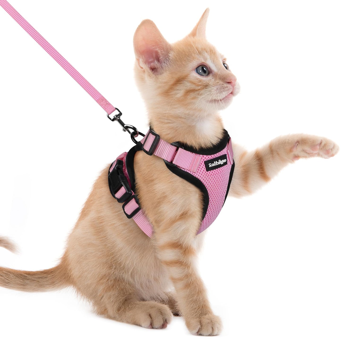 Adjustable Cat Harness & Lead Set for Walking