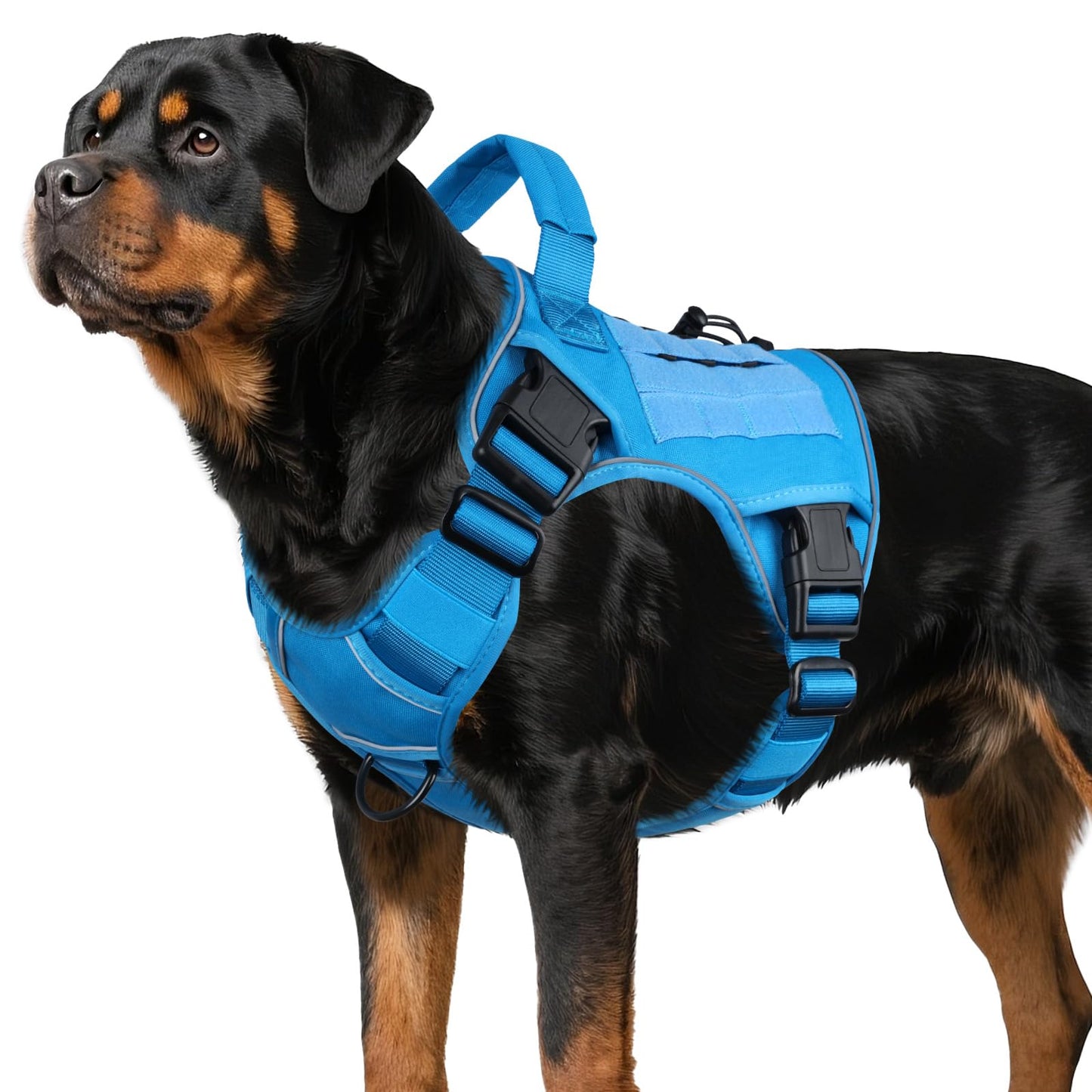 Heavy Duty Tactical Dog Harness with Handle