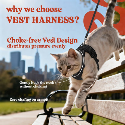 Adjustable Cat Harness & Lead Set for Walking