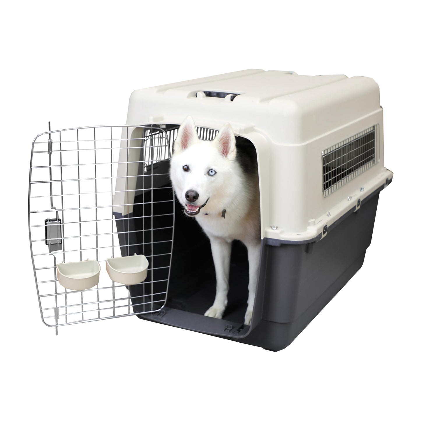 Airline-Approved Hard Shell Pet Travel Kennel