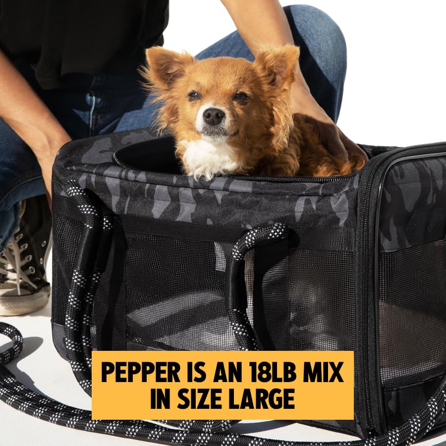 ROVERLUND Airline-Compliant Pet Carrier | Includes Leash