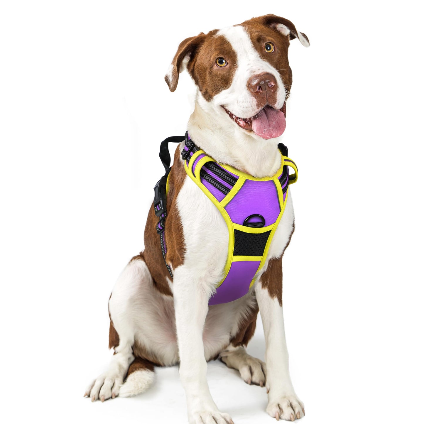 No-Pull Reflective Dog Harness with Control Handle