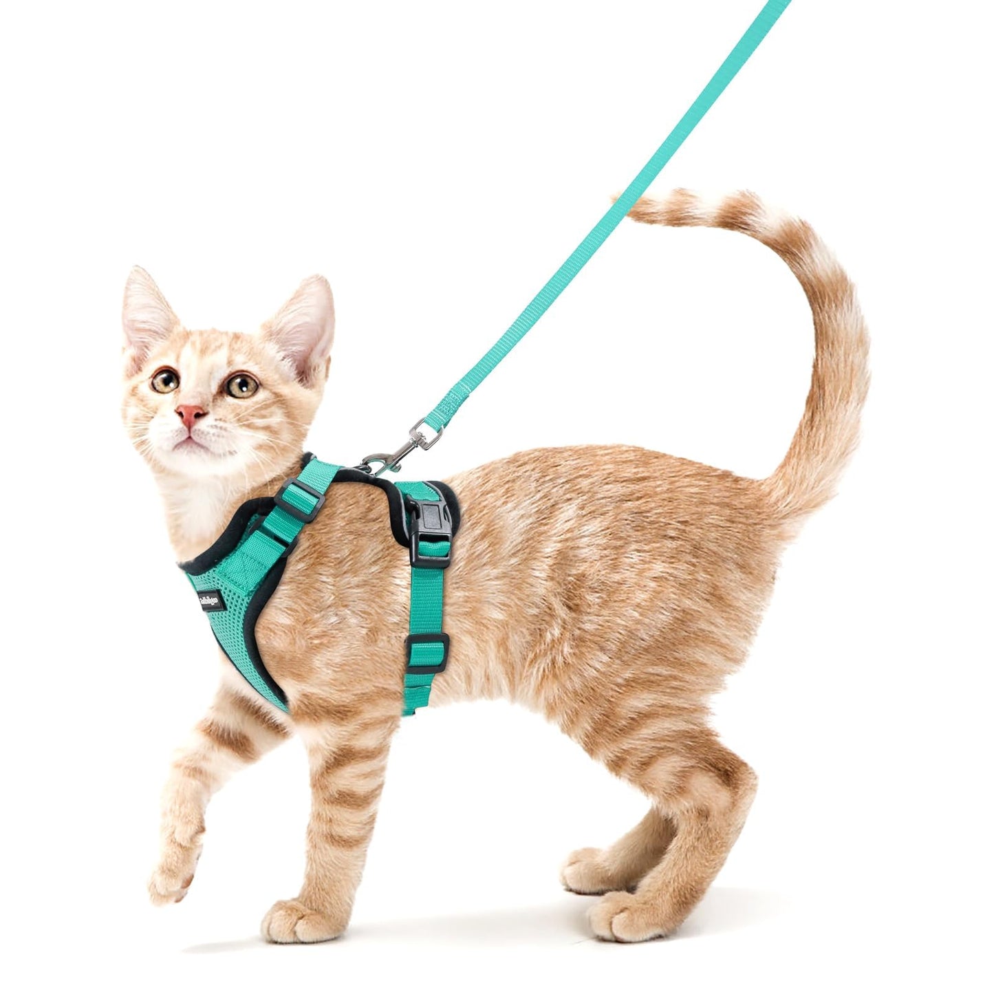 Adjustable Cat Harness & Lead Set for Walking