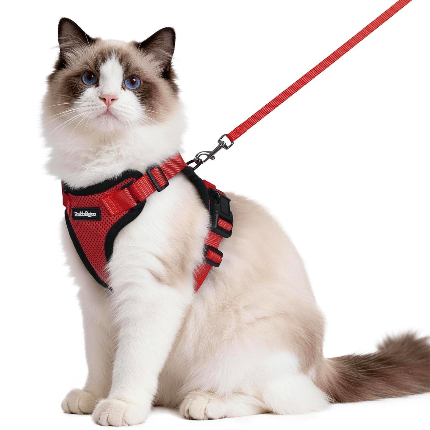 Adjustable Cat Harness & Lead Set for Walking