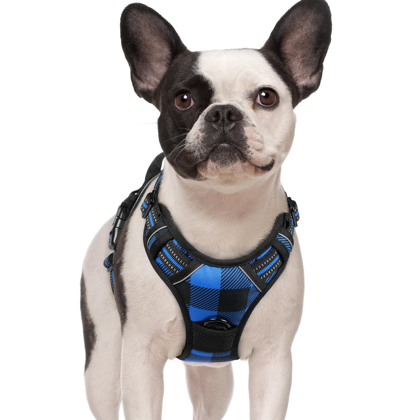 No-Pull Reflective Dog Harness with Control Handle