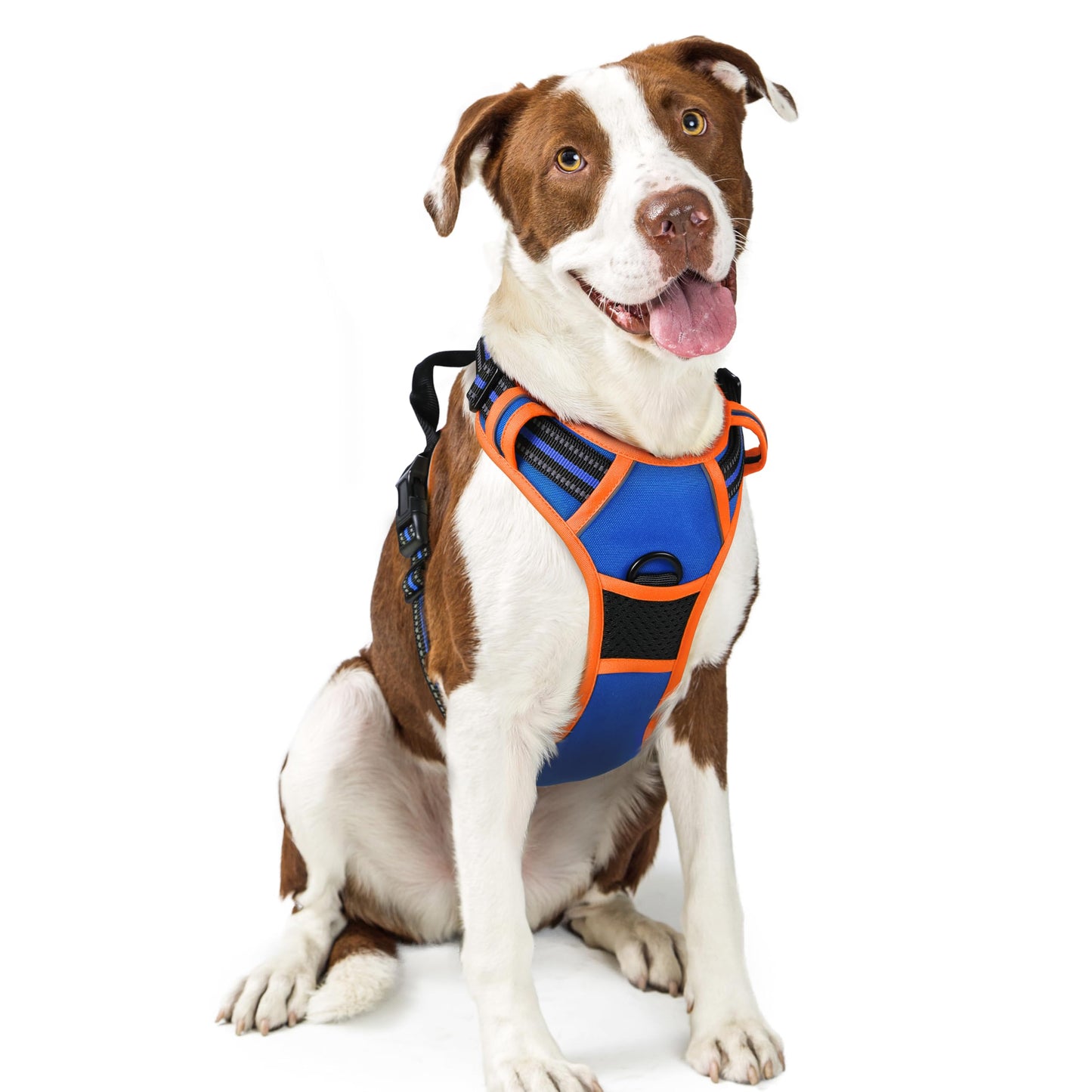 No-Pull Reflective Dog Harness with Control Handle