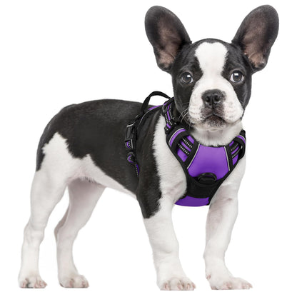 No-Pull Reflective Dog Harness with Control Handle