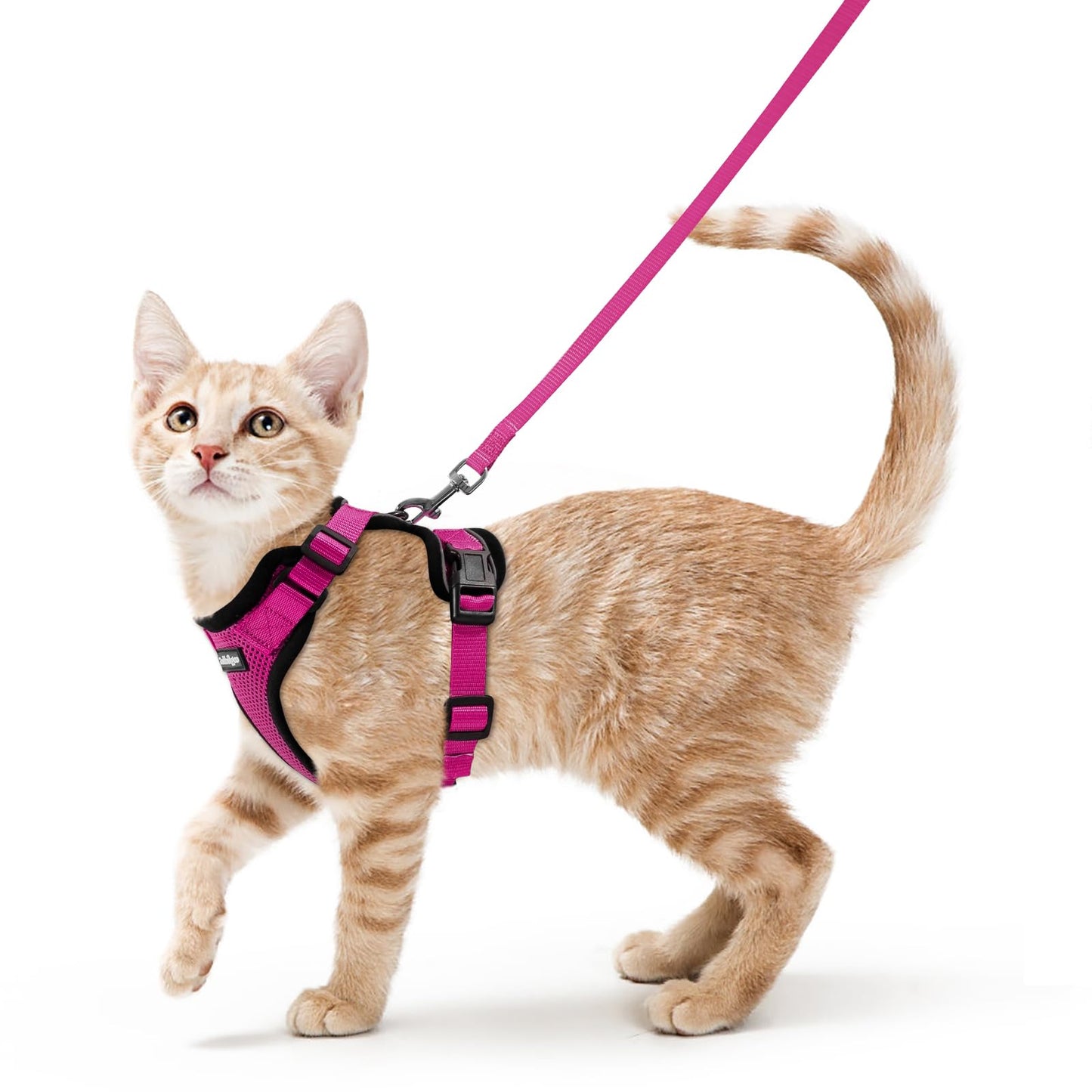 Adjustable Cat Harness & Lead Set for Walking