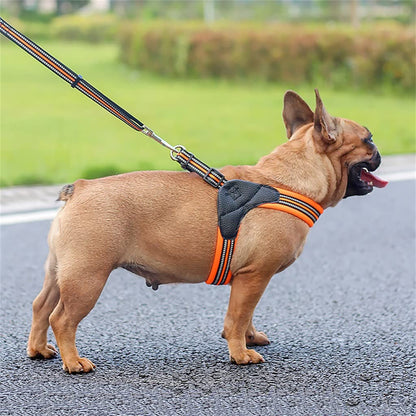 Breathable Mesh Dog Harness & Leash Set