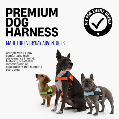 Adjustable Everyday Dog Harness for Walking