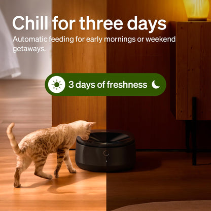 Automatic Refrigerated Pet Feeder with Cooling