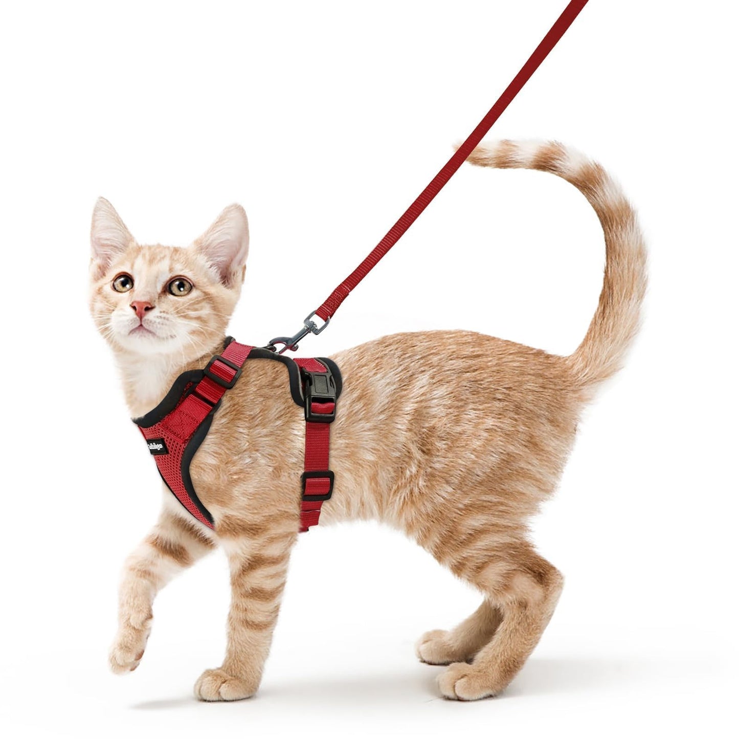 Adjustable Cat Harness & Lead Set for Walking