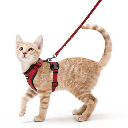 Adjustable Cat Harness & Lead Set for Walking