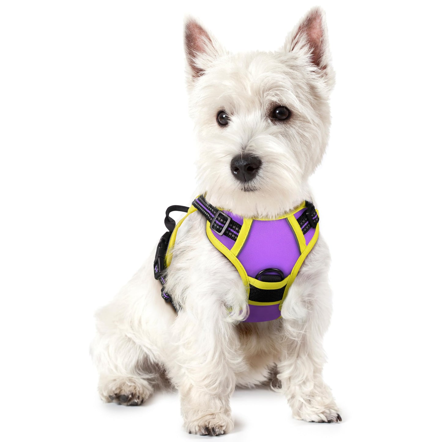 No-Pull Reflective Dog Harness with Control Handle