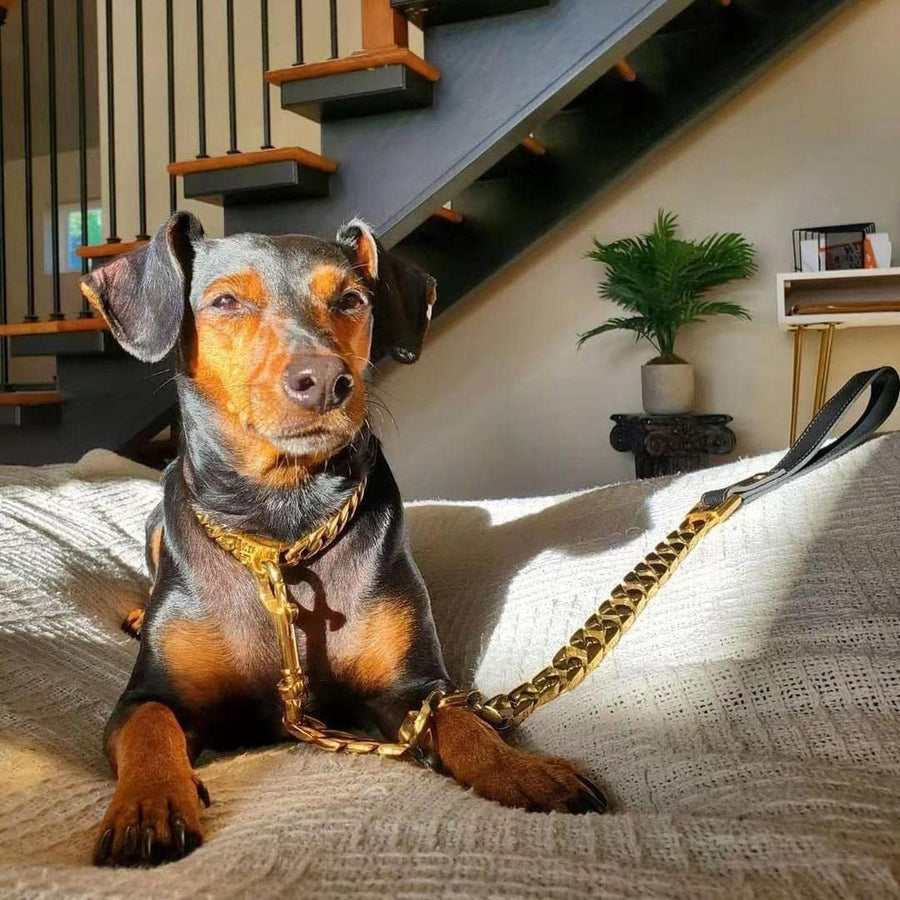 Heavy Duty Metal Dog Chain Leash with Leather Handle