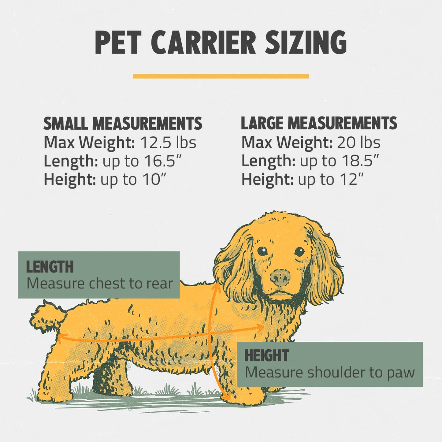 ROVERLUND Airline-Compliant Pet Carrier | Includes Leash