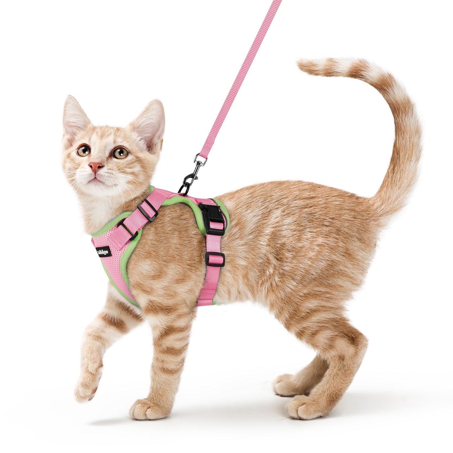 Adjustable Cat Harness & Lead Set for Walking
