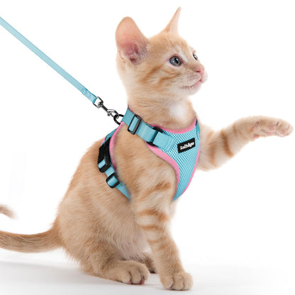 Adjustable Cat Harness & Lead Set for Walking