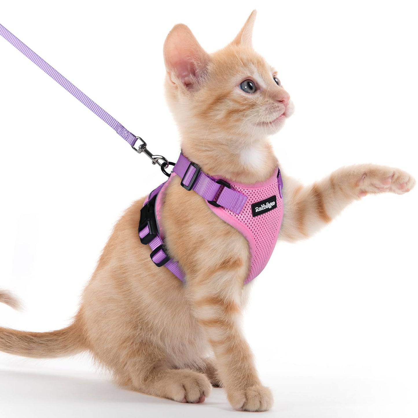 Adjustable Cat Harness & Lead Set for Walking