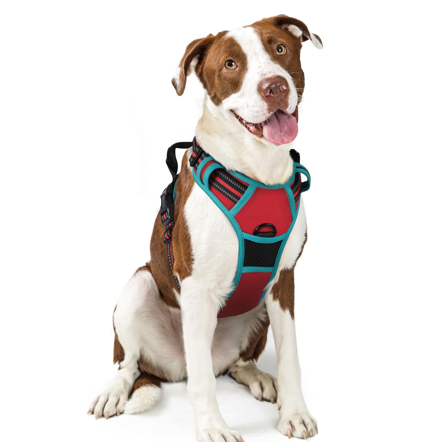 No-Pull Reflective Dog Harness with Control Handle