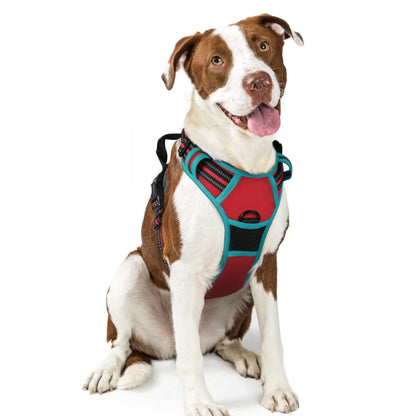 No-Pull Reflective Dog Harness with Control Handle