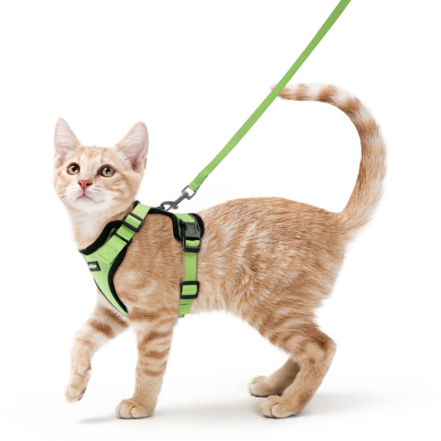 Adjustable Cat Harness & Lead Set for Walking