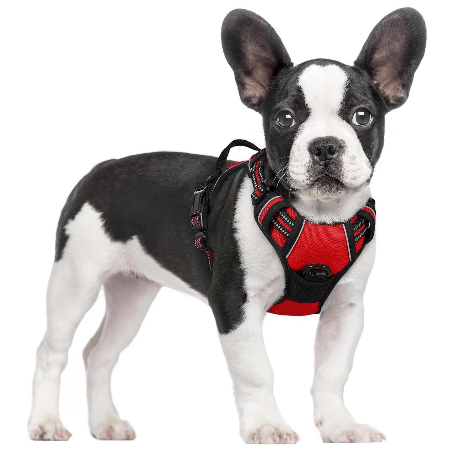 No-Pull Reflective Dog Harness with Control Handle
