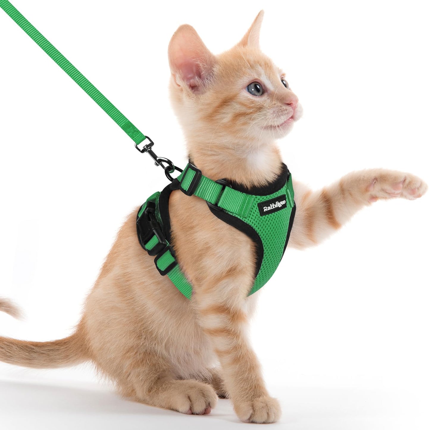 Adjustable Cat Harness & Lead Set for Walking